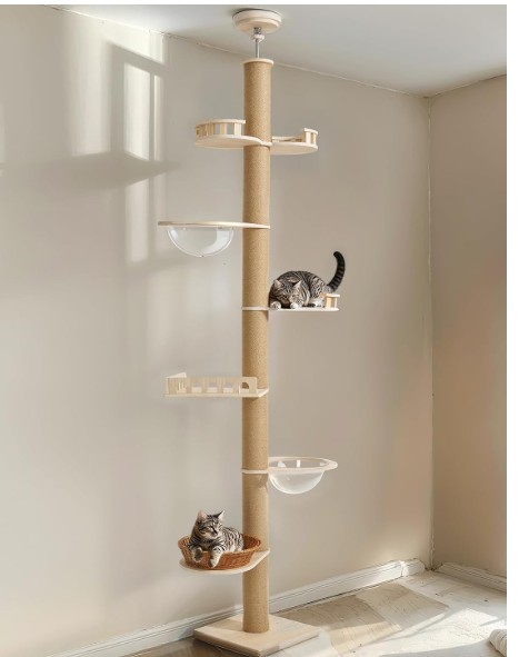 Two Bengal cats relaxing on a modern ceiling-mounted cat tree with clear bowls and cozy perches in a sunlit corner