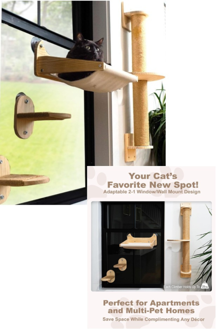 Black cat resting in a mounted wood hammock by a window, with climbing steps and sisal post on a nearby wall