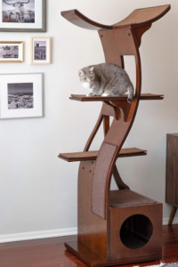 Modern wood cat tower with curved platforms and built-in cubby, occupied by grey cat