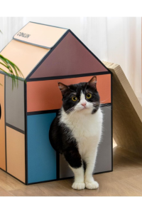 Black and white cat sitting at the entrance of a colorful cardboard cat house with a scratch pad roof, placed on a hardwood floor near a sunny window.