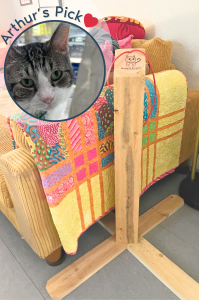 Natural cedar vertical cat scratcher with X-shaped base placed in front of a colorful couch, featuring an inset image of Arthur with text reading “Arthur’s Pick.”