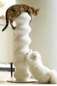 A Bengal cat lounges on top of a tall sculptural white scratching post while a fluffy white kitten scratches the base in a modern, light-filled living room.