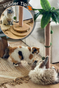 Two long-haired cats playing around the base of a palm-style cat scratching post with green ball toys and a pink sisal-covered trunk. Inset shows close-up of the ball track base being used as a treat puzzle.