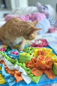 Feller, a senior orange tabby cat, exploring a colorful floral snuffle mat during an enrichment session at home.