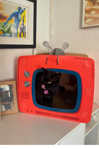 Black cat sitting inside a red Frisco TV-themed cardboard cat house placed on a white cabinet, with framed artwork and photos on the wall nearby.