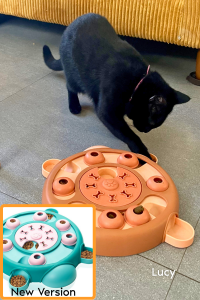 Black cat named Lucy using the original version of the Friends Forever puzzle toy, with a comparison image of the updated design in the bottom left corner.