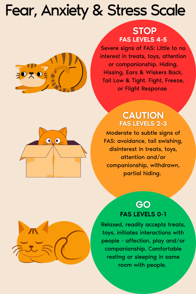 Illustration of the Fear, Anxiety, and Stress Scale for cats showing Go, Caution, and Stop zones with examples of feline body language