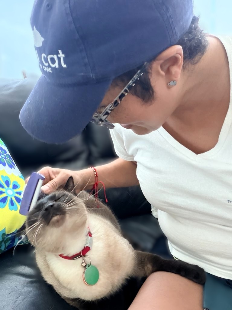 professional cat sitter brushing cat during in-home visit in Miami