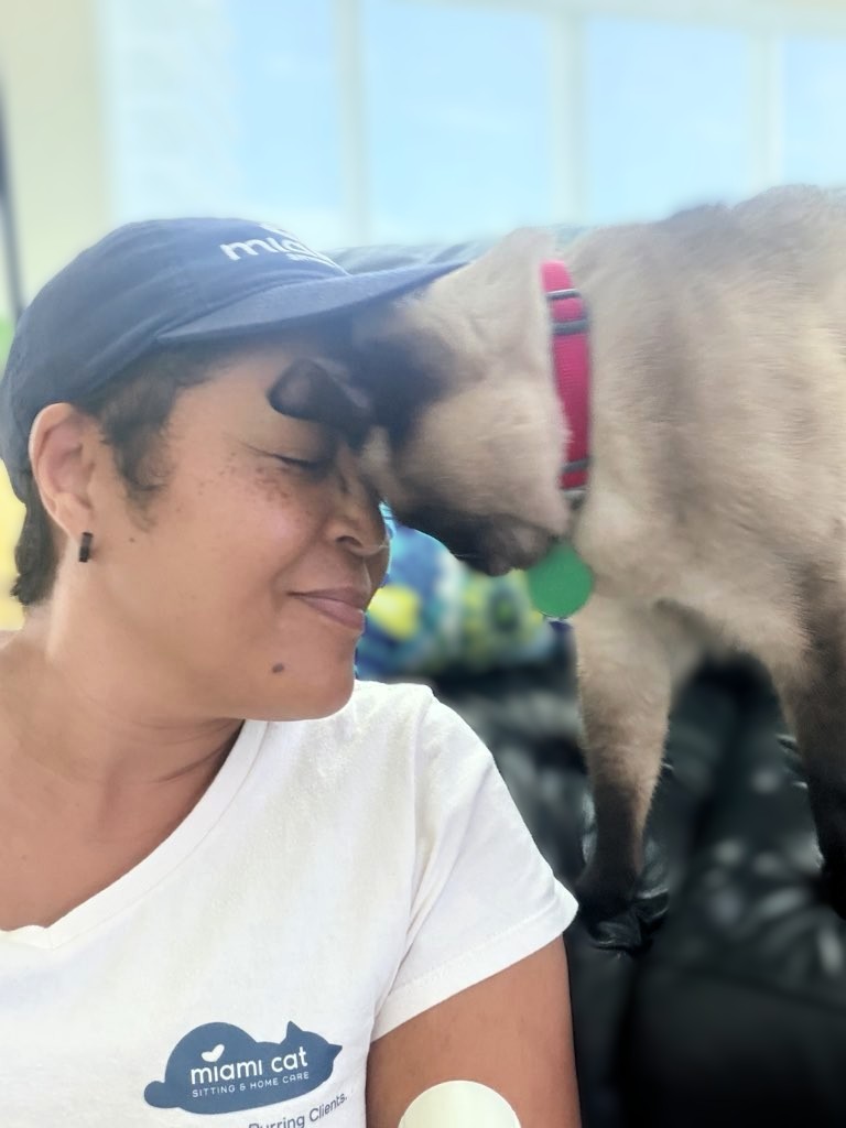 professional cat sitter building trust with cat during in-home visit in Miami