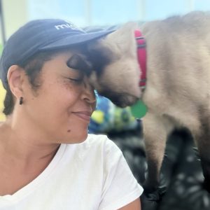 professional cat sitter building trust with cat during in-home visit in Miami